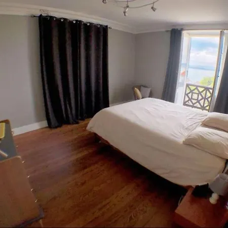 Luxurious Villa, 10 People, 200 M From Geneva Villa *
