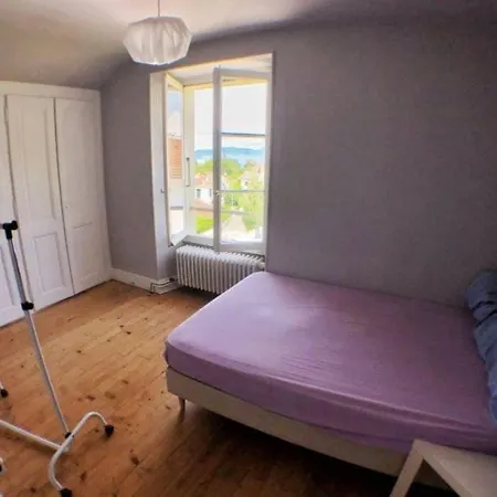 Luxurious Villa, 10 People, 200 M From Geneva * Évian-les-Bains